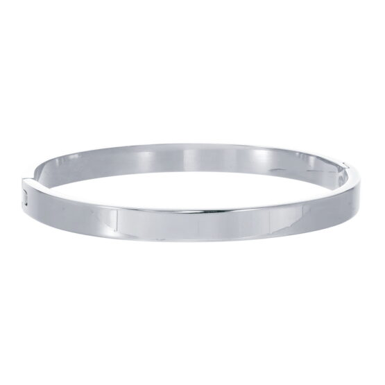 Damarmband i Stainless Steel